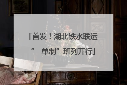 首发！湖北铁水联运“一单制”班列开行