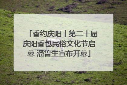 香约庆阳丨第二十届庆阳香包民俗文化节启幕 潘鲁生宣布开幕