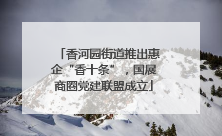 香河园街道推出惠企“香十条”，国展商圈党建联盟成立