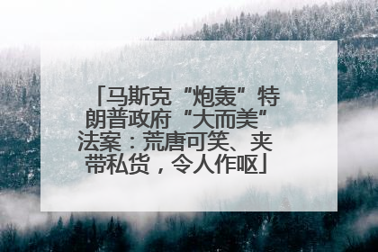 马斯克“炮轰”特朗普政府“大而美”法案：荒唐可笑、夹带私货，令人作呕