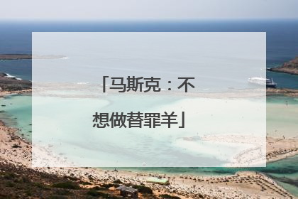 马斯克：不想做替罪羊