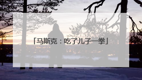 马斯克：吃了儿子一拳