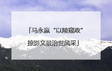 马永嬴“以陵窥政” 掠影文景治世风采