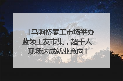 马驹桥零工市场举办蓝领工友市集，超千人现场达成就业意向