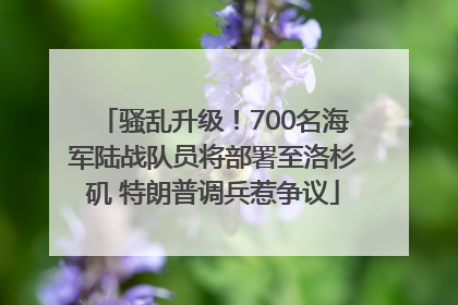 骚乱升级！700名海军陆战队员将部署至洛杉矶 特朗普调兵惹争议