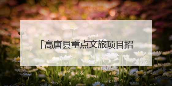 高唐县重点文旅项目招商推介会在杭州举行