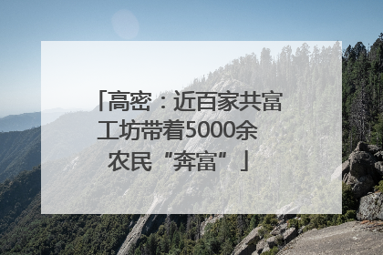 高密：近百家共富工坊带着5000余农民“奔富”