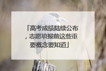 高考成绩陆续公布，志愿填报前这些重要概念要知道