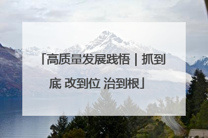高质量发展践悟｜抓到底 改到位 治到根
