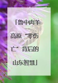 鲁中肉羊高原“零伤亡”背后的山东智慧