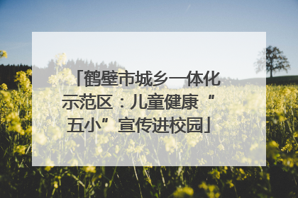 鹤壁市城乡一体化示范区：儿童健康“五小”宣传进校园