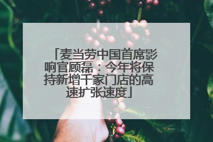 麦当劳中国首席影响官顾磊：今年将保持新增千家门店的高速扩张速度