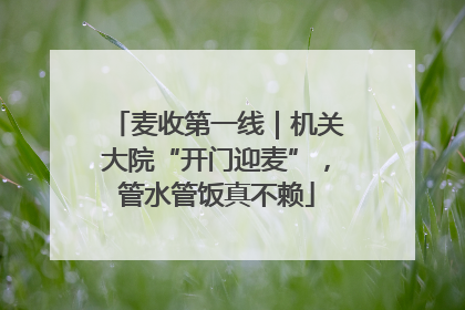 麦收第一线｜机关大院“开门迎麦”，管水管饭真不赖