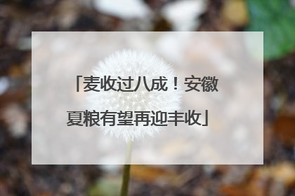 麦收过八成！安徽夏粮有望再迎丰收