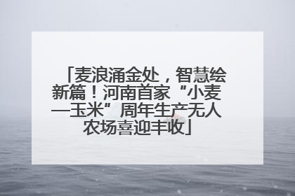 麦浪涌金处，智慧绘新篇！河南首家“小麦—玉米”周年生产无人农场喜迎丰收