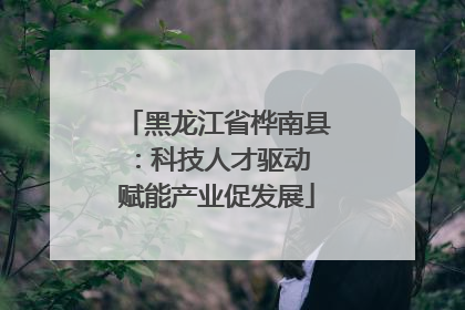 黑龙江省桦南县：科技人才驱动 赋能产业促发展