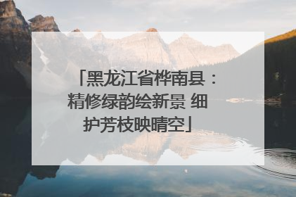 黑龙江省桦南县：精修绿韵绘新景 细护芳枝映晴空