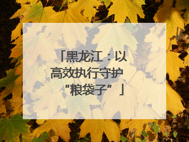 黑龙江：以高效执行守护“粮袋子”