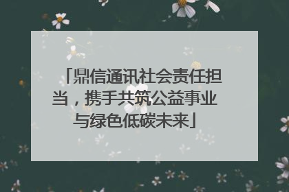 鼎信通讯社会责任担当，携手共筑公益事业与绿色低碳未来