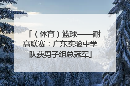 （体育）篮球——耐高联赛：广东实验中学队获男子组总冠军