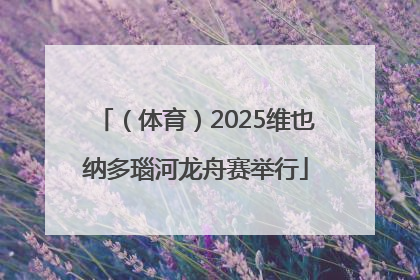 （体育）2025维也纳多瑙河龙舟赛举行