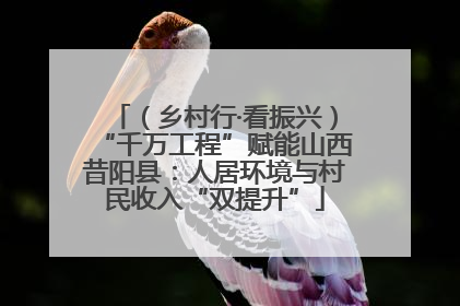（乡村行·看振兴）“千万工程”赋能山西昔阳县：人居环境与村民收入“双提升”