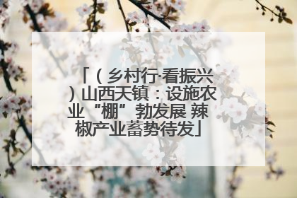 （乡村行·看振兴）山西天镇：设施农业“棚”勃发展 辣椒产业蓄势待发