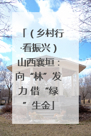 （乡村行·看振兴）山西襄垣：向“林”发力 借“绿”生金