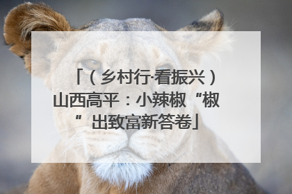 （乡村行·看振兴）山西高平：小辣椒“椒”出致富新答卷