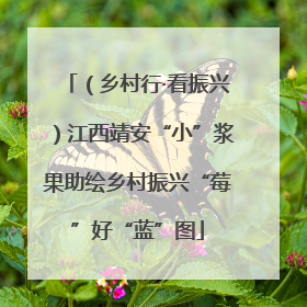 （乡村行·看振兴）江西靖安“小”浆果助绘乡村振兴“莓”好“蓝”图