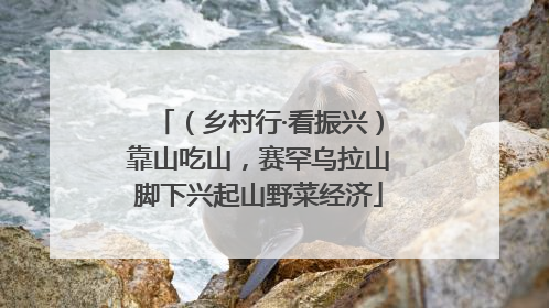 （乡村行·看振兴）靠山吃山，赛罕乌拉山脚下兴起山野菜经济