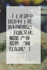 （走进中国乡村）茗新村破圈记：民族文化赋能 产业借势 “网红东风”