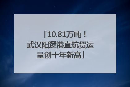10.81万吨！武汉阳逻港直航货运量创十年新高