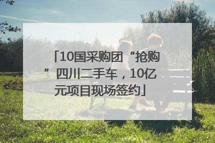 10国采购团“抢购”四川二手车，10亿元项目现场签约