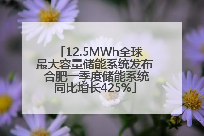 12.5MWh全球最大容量储能系统发布 合肥一季度储能系统同比增长425%