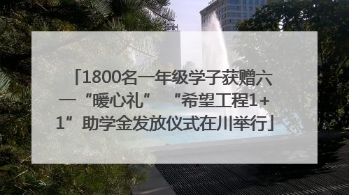 1800名一年级学子获赠六一“暖心礼” “希望工程1+1”助学金发放仪式在川举行