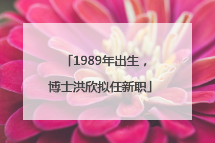 1989年出生，博士洪欣拟任新职