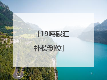 19吨碳汇补偿到位