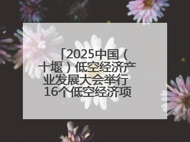 2025中国（十堰）低空经济产业发展大会举行 16个低空经济项目落户车城