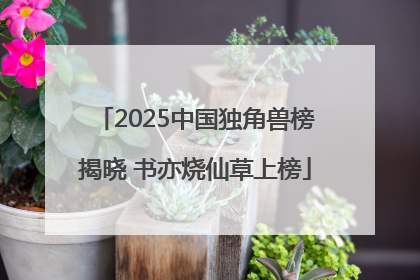 2025中国独角兽榜揭晓 书亦烧仙草上榜