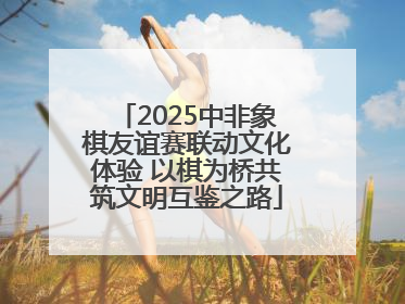 2025中非象棋友谊赛联动文化体验 以棋为桥共筑文明互鉴之路