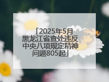 2025年5月黑龙江省查处违反中央八项规定精神问题805起