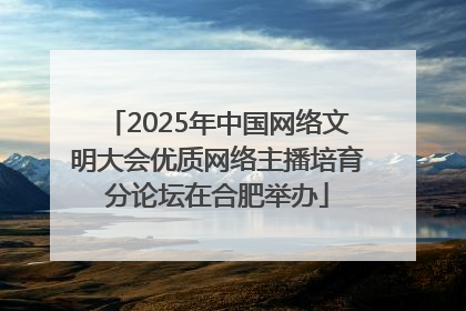 2025年中国网络文明大会优质网络主播培育分论坛在合肥举办