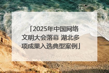 2025年中国网络文明大会落幕 湖北多项成果入选典型案例