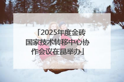 2025年度金砖国家技术转移中心协作会议在昆举办
