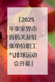 2025年张家界市直机关及驻张单位职工气排球运动会开幕