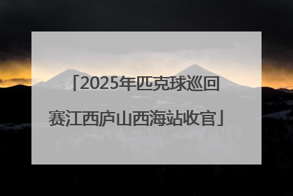 2025年匹克球巡回赛江西庐山西海站收官