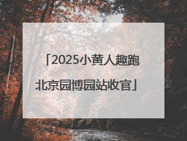2025小黄人趣跑北京园博园站收官