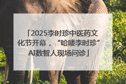 2025李时珍中医药文化节开幕，“哈喽李时珍”AI数智人现场问诊
