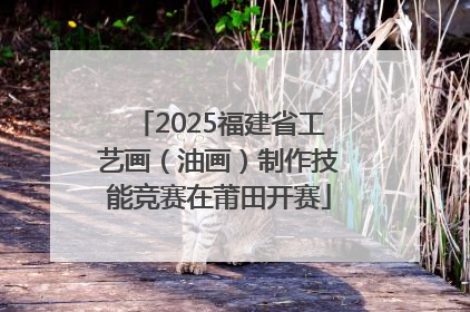 2025福建省工艺画（油画）制作技能竞赛在莆田开赛